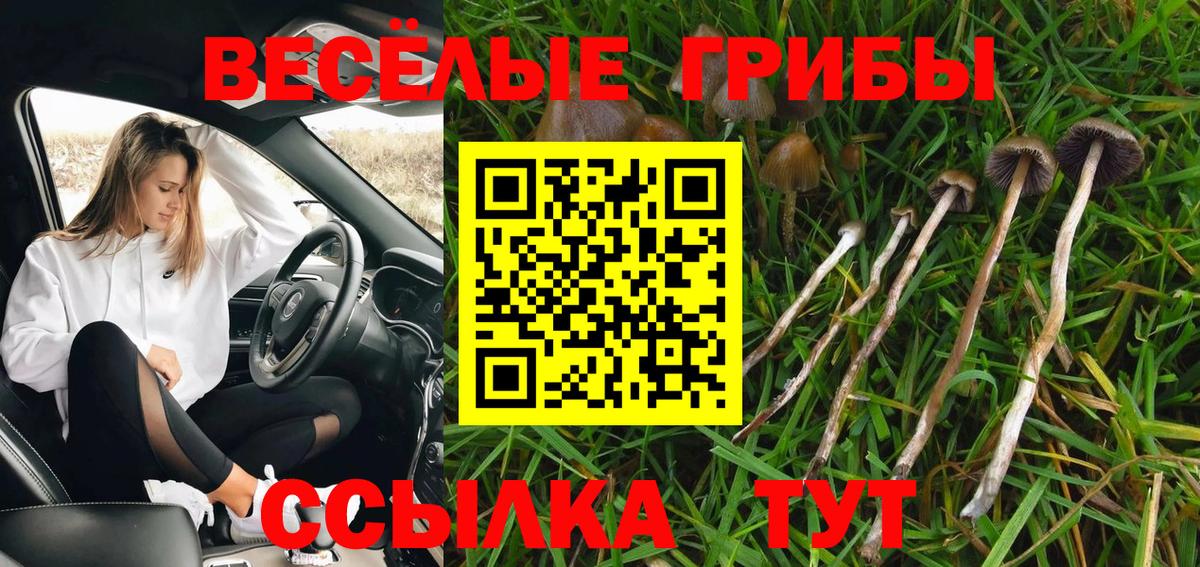 Феодосия  Галлюциногенные грибы Psilocybe  Вход с VPN  Псилоцибиновые грибы Psilocybe 